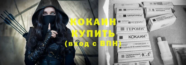 дживик Карпинск