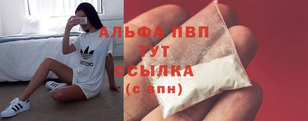 ПСИЛОЦИБИНОВЫЕ ГРИБЫ Карталы