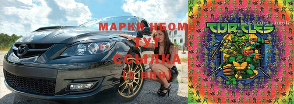 ПСИЛОЦИБИНОВЫЕ ГРИБЫ Карталы