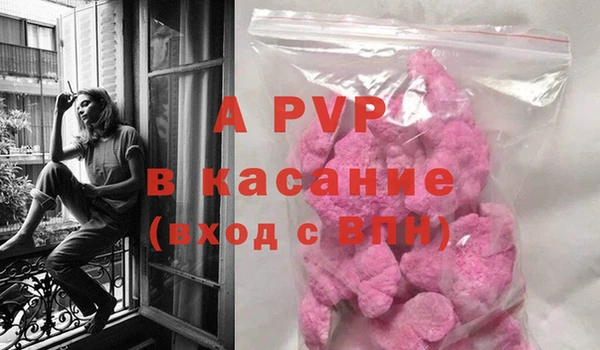 ПСИЛОЦИБИНОВЫЕ ГРИБЫ Карталы