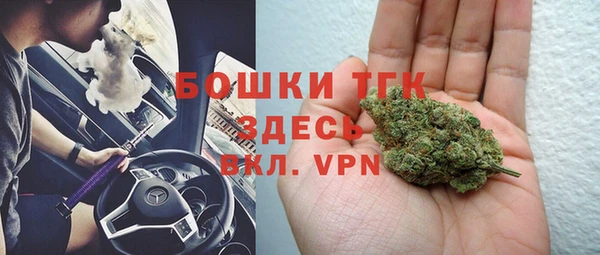шишки Краснотурьинск