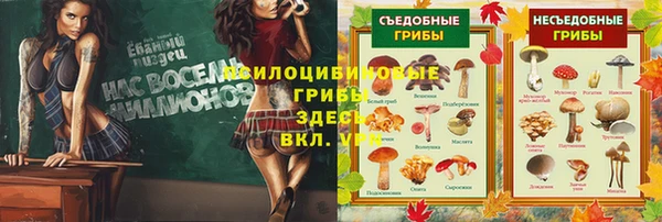 ПСИЛОЦИБИНОВЫЕ ГРИБЫ Карталы