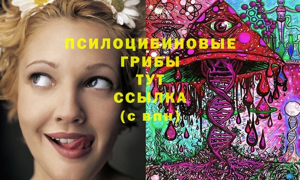ПСИЛОЦИБИНОВЫЕ ГРИБЫ Карталы