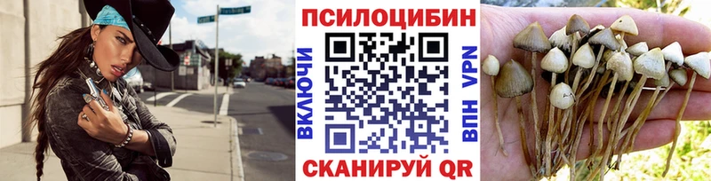 купить   Елизаветинская  кракен ТОР  Псилоцибиновые грибы Psilocybine cubensis 